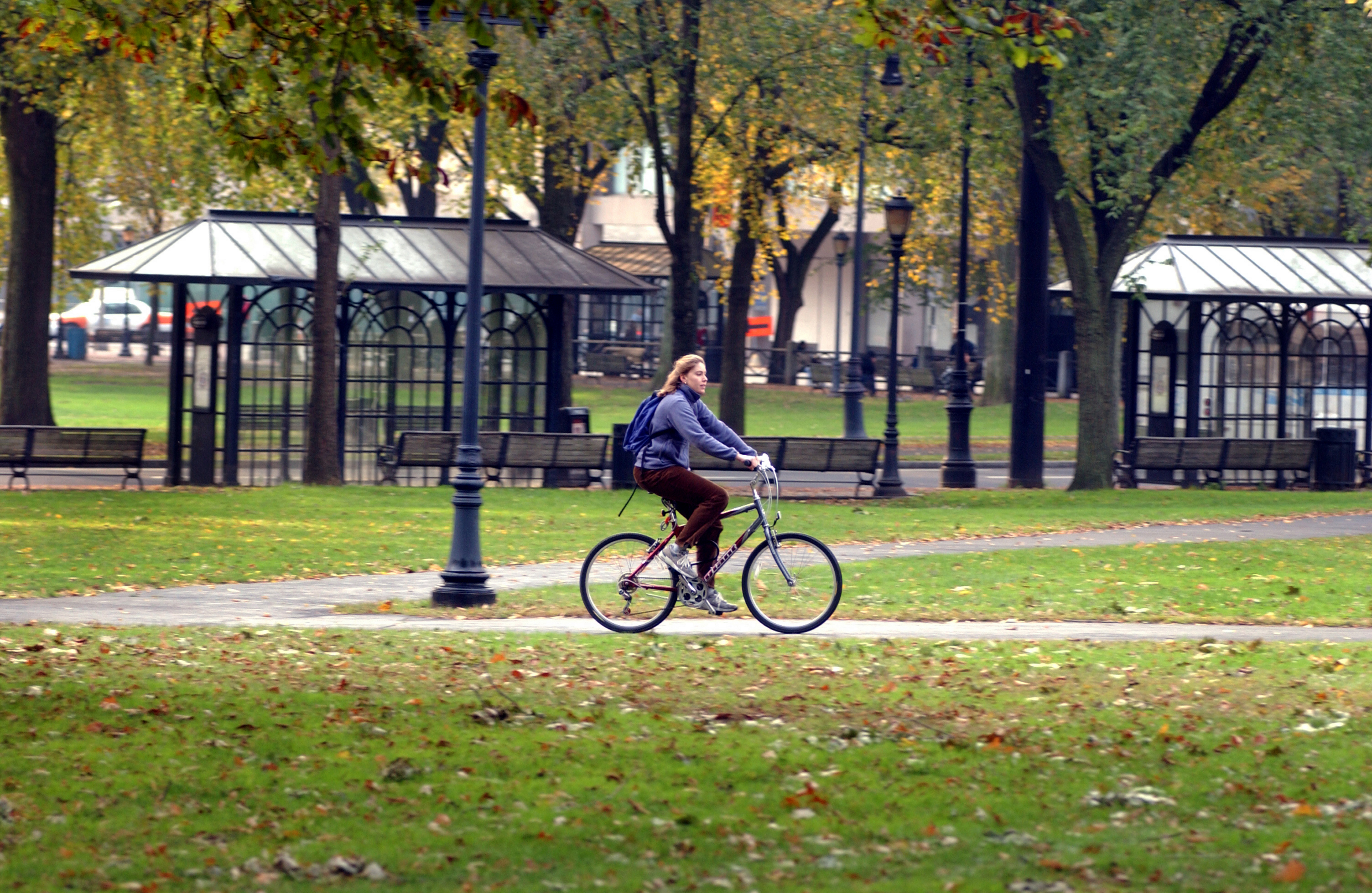 Person rides a bike through New Haven Green