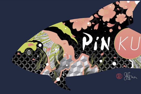 PinKU logo and graphics