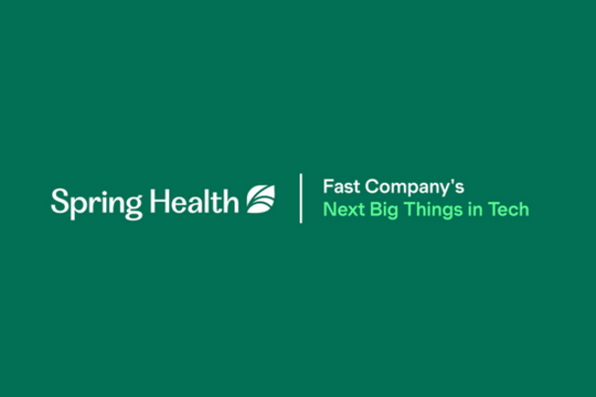 Spring Health green and white leaf logo with word mark